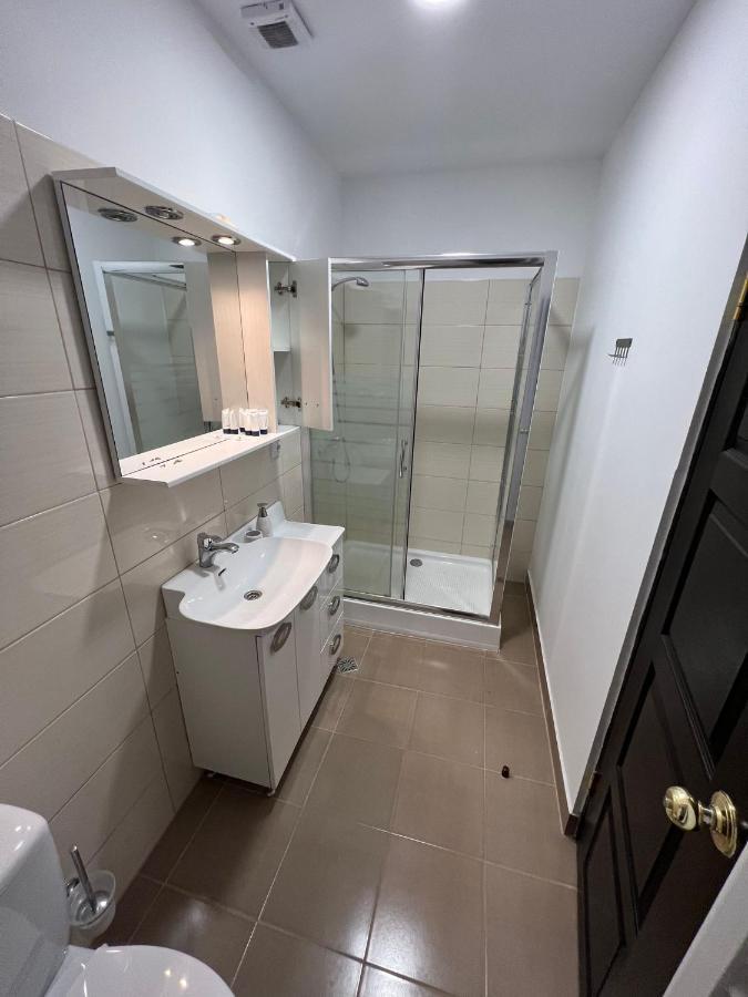 Apartament Teodora Sibiu Apartment ภายนอก รูปภาพ