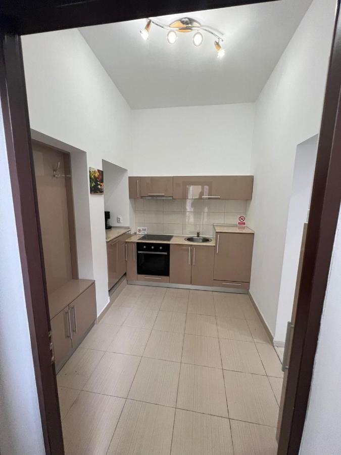 Apartament Teodora Sibiu Apartment ภายนอก รูปภาพ